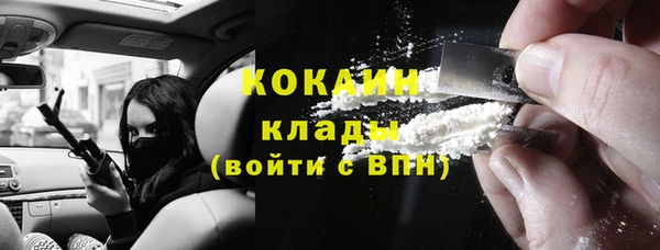 ГАЛЛЮЦИНОГЕННЫЕ ГРИБЫ Покровск