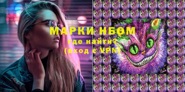 spice Гусев