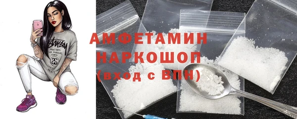 spice Гусев