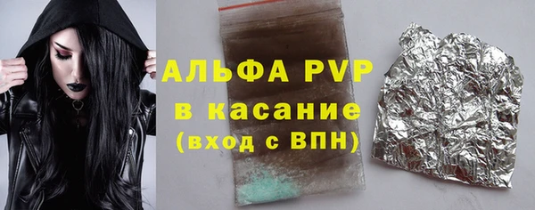 spice Гусев