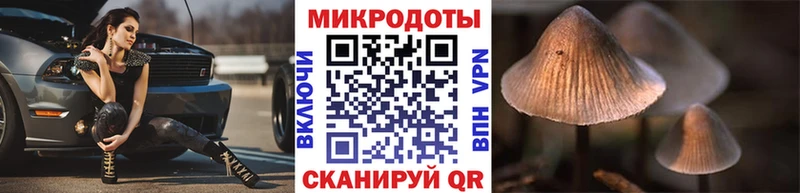 Галлюциногенные грибы MAGIC MUSHROOMS  kraken ССЫЛКА  Микунь 